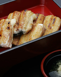 鰻料理