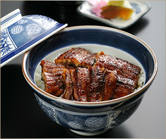 Unagi Donburi