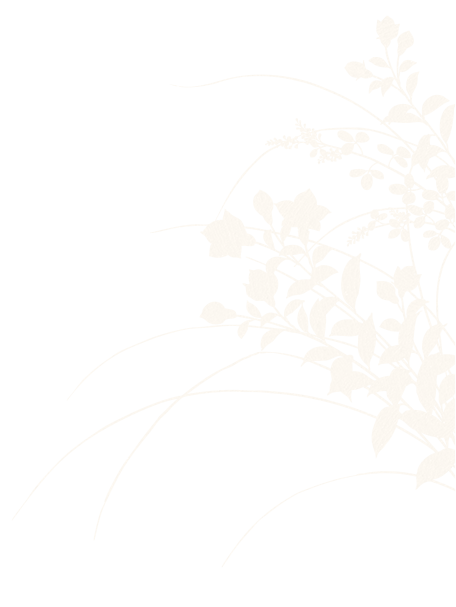 Deco