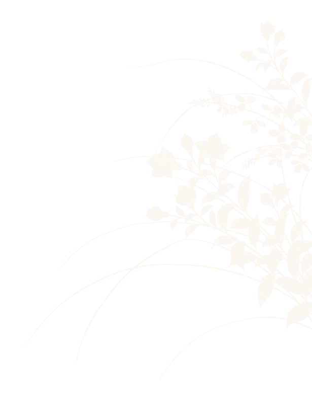deco