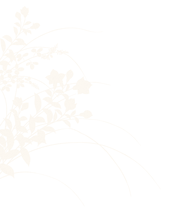 Deco