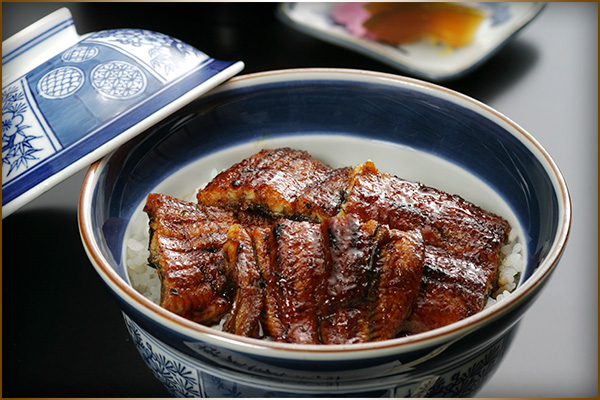 Unagi Donburi (3 slices)