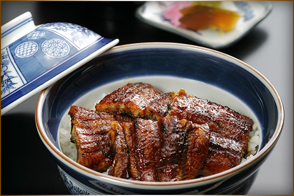 Unagi Donburi (3 slices)